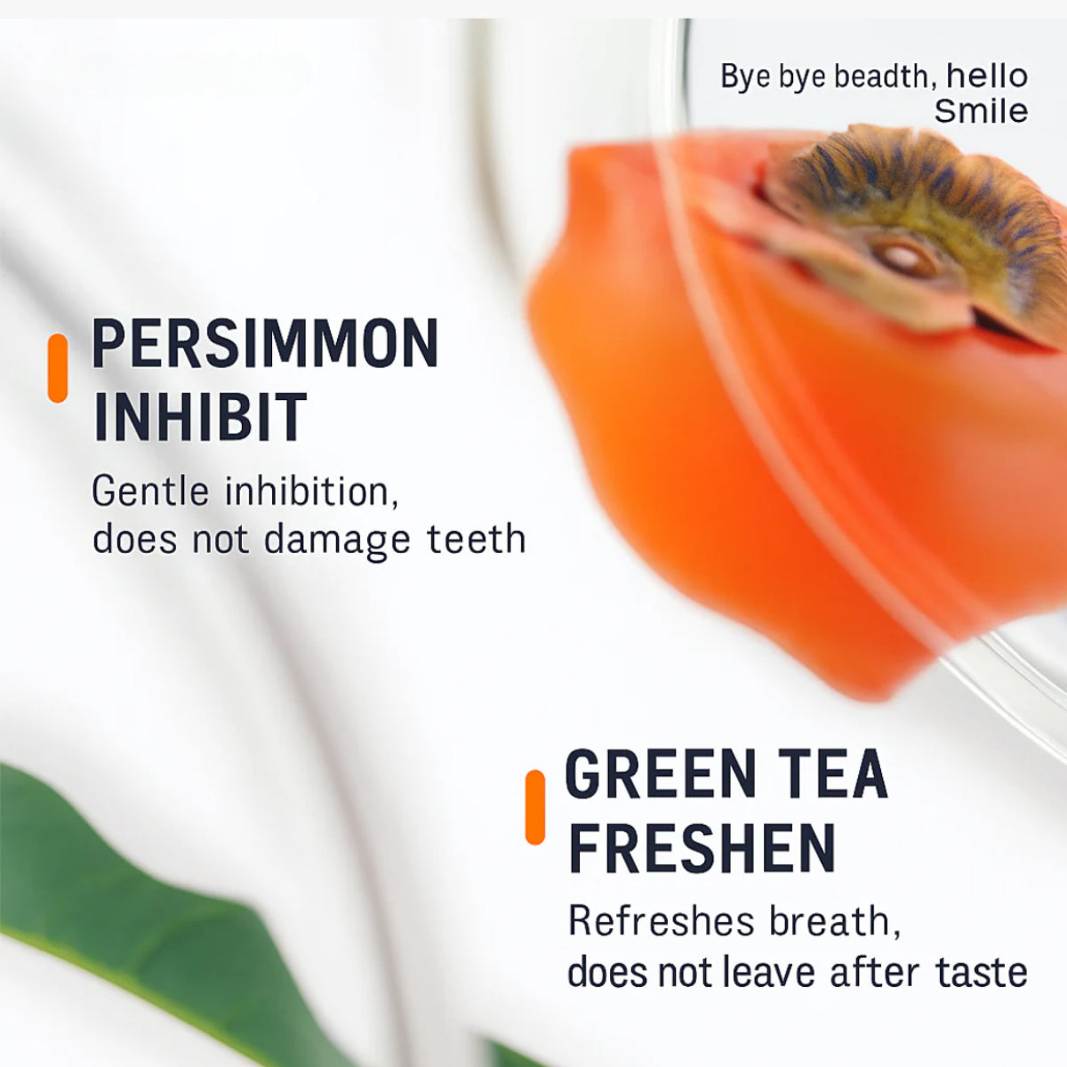 NewPet Toothbrush Pen