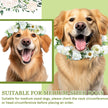 Dog Wedding Flower Collar and Pearl Leash Set Adjustable