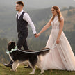 Dog Wedding Flower Collar and Pearl Leash Set Adjustable