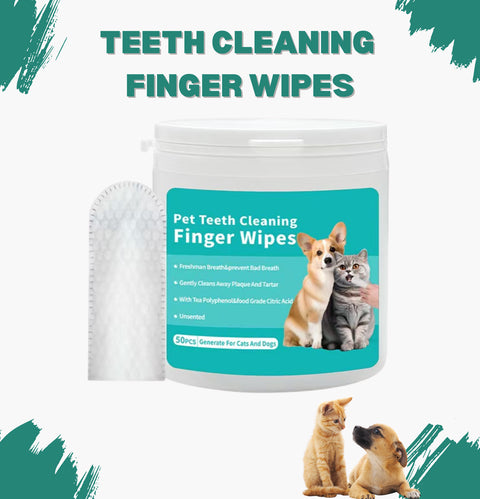 Pet Teeth Cleaning Finger Wipes Disposable