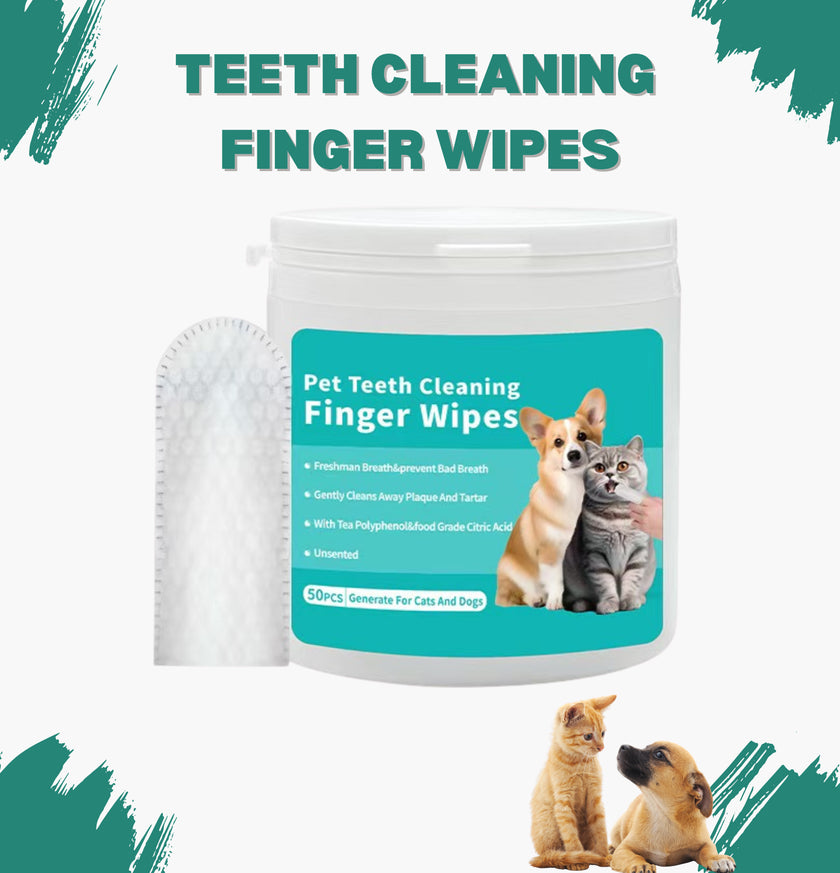 Pet Teeth Cleaning Finger Wipes Disposable