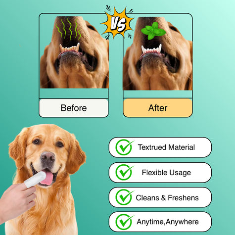 Pet Teeth Cleaning Finger Wipes Disposable